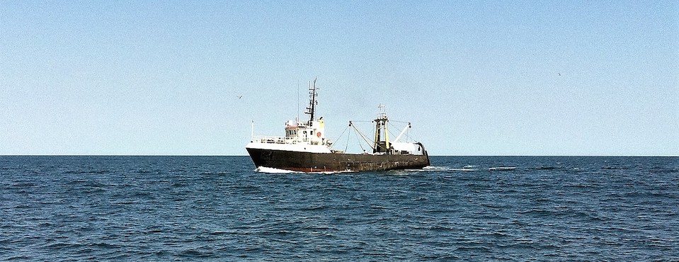 Star Fish - Productos - Pesquerías