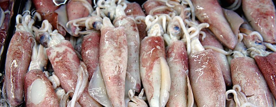 Star fish - Producción - Procesos Productivos