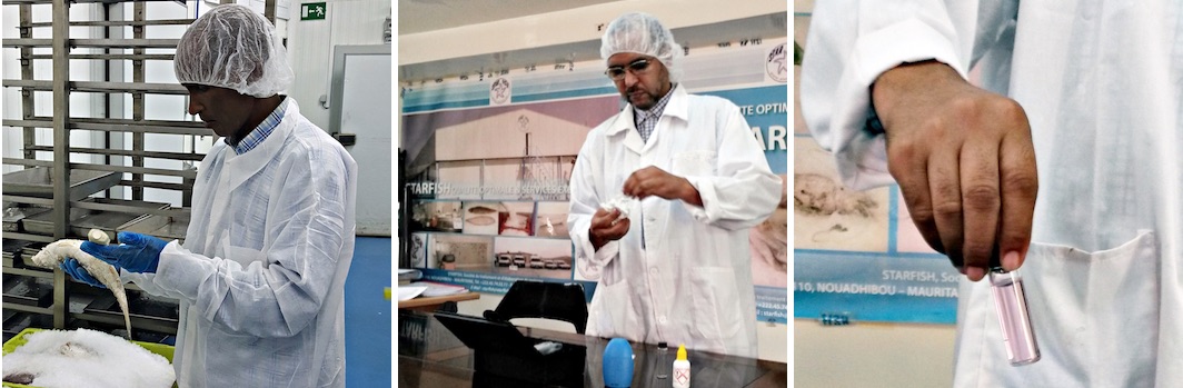 Star fish - Producción - Calidad y Seguridad de productos