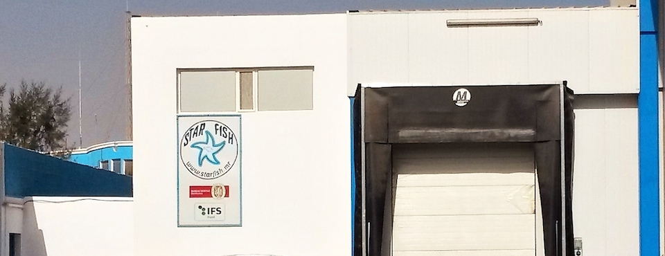 Star fish - Quienes somos - Historia