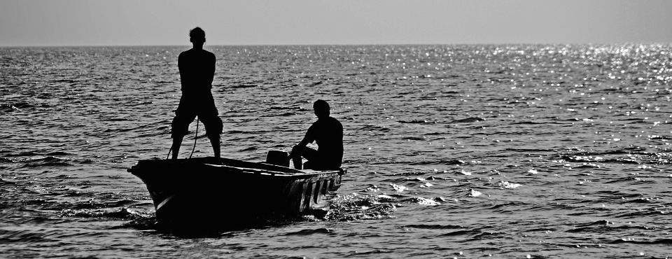 Star fish - Nuestros productos - Pesquerías