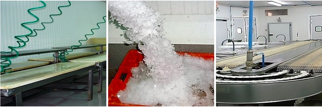 Star fish - Quienes somos - Instalaciones