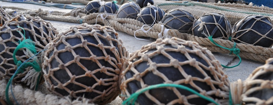 Star fish - Nuestros productos - Pesquerías