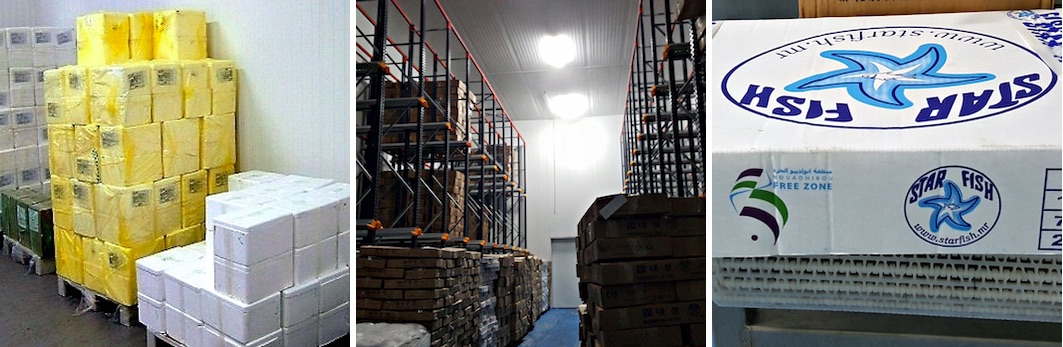 Star fish - Comercialización - Logística Star fish - Comercialización - Logística