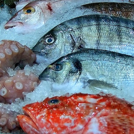 Productos del mar de alta calidad y seguros para el consumidor final