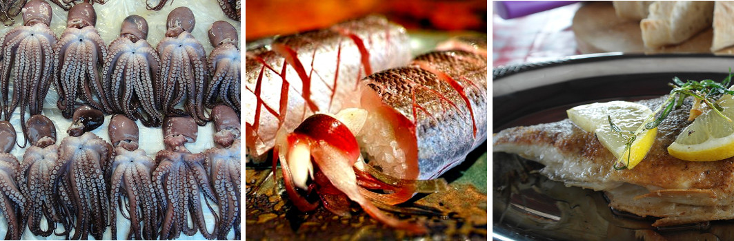 Star fish - Comercialization - Logistics Star fish - Comercialización - Referencias Comerciales